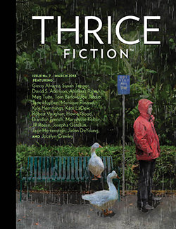 Thrice Fiction Magazine Cover