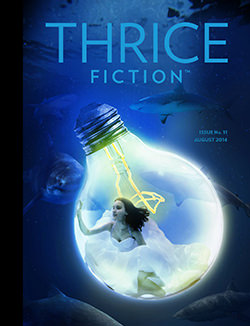 Thrice Fiction Magazine Cover